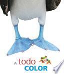 Libro A Todo Color