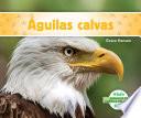 Libro Águilas calvas (Bald Eagles) (Spanish Version)