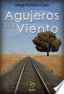 Libro Agujeros en el viento