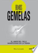 Libro Almas gemelas