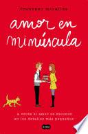 Libro Amor en minúscula