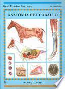 Libro Anatomía del caballo