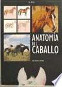 Libro Anatomía del caballo