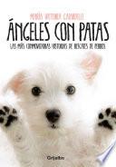 Libro Ángeles con patas