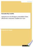 Libro Anteproyecto de Hongos comestibles Ostra (Pleurotus ostreatus). Análisis de Caso