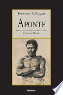 Libro Aponte