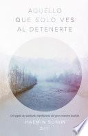 Libro Aquello que solo ves al detenerte