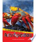 Libro Artrópodos