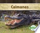 Libro Caimanes (Alligators) (Spanish Version)
