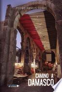 Libro Camino a Damasco