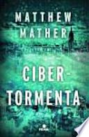 Libro Cibertormenta