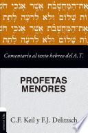 Libro Comentario al texto hebreo del Antiguo Testamento - Profetas Menores