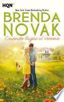 Libro Cuando llegue el verano