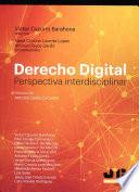 Libro Derecho Digital