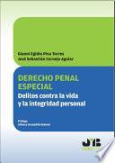 Libro Derecho penal especial