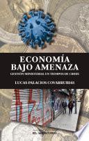 Libro Economía bajo amenaza