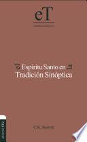 Libro El Espíritu Santo en la tradición sinóptica