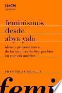 Libro Feminismos desde Abya Yala