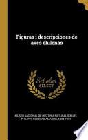 Libro Figuras I Descripciones de Aves Chilenas