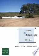 Libro Flora de Burguillos (Sevilla): Bases para su conservación