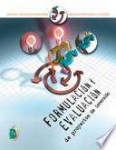 Libro Formulación y evaluación de proyectos de inversión