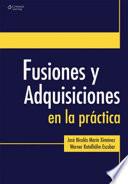 Libro Fusiones y adquisiciones en la práctica