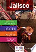 Libro Guadalajara, Puerto Vallarta y Jalisco (México)