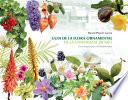 Libro Guia de la flora ornamental de la Universitat Jaume I. Un Campus per a la biodiversitat