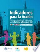 Libro Indicadores para la acción.