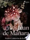 Libro Juan de Mañara