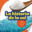 Libro La historia de la sal (The Story of Salt)