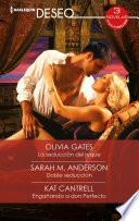 Libro La seducción del jeque - Doble seducción - Engañando a don perfecto