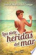 Libro Las siete heridas del mar