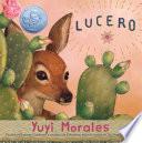 Libro Lucero