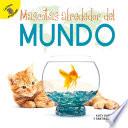 Libro Mascotas alrededor del mundo