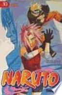 Libro Naruto 30