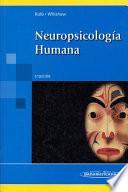 Neuropsicología humana