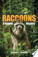 Libro Raccoons