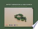 Libro Retos y riesgos en la vida olmeca