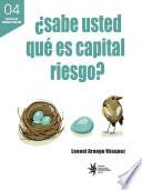 Libro ¿Sabe usted qué es capital riesgo?