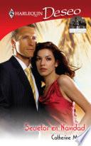 Libro Secretos en Navidad